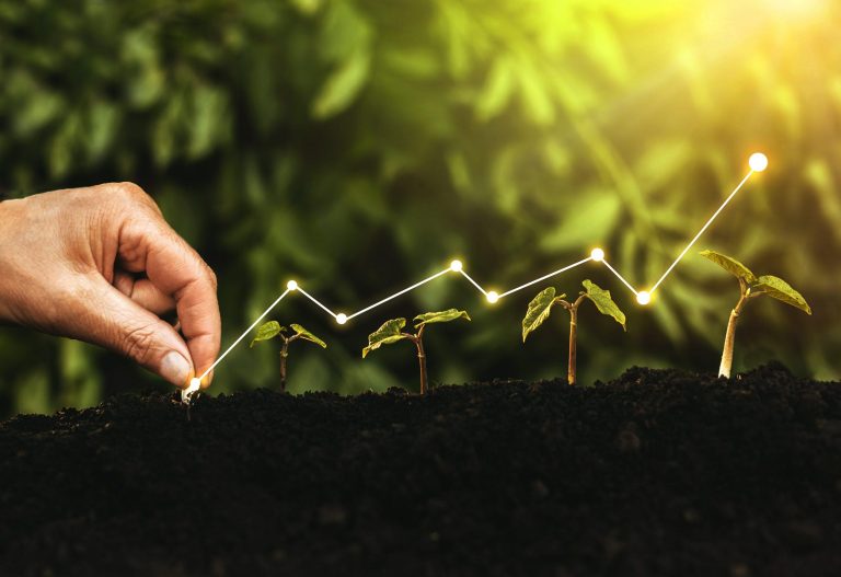 Hand,Planting,Seedling,Growing,Step,In,Garden,With,Sunshine